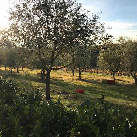 Il Villino Farmhouse Castellina in Chianti Luaran gambar