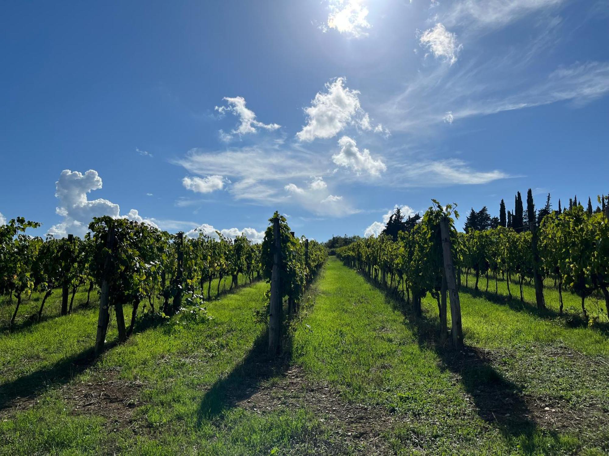 Il Villino Farmhouse Castellina in Chianti Luaran gambar
