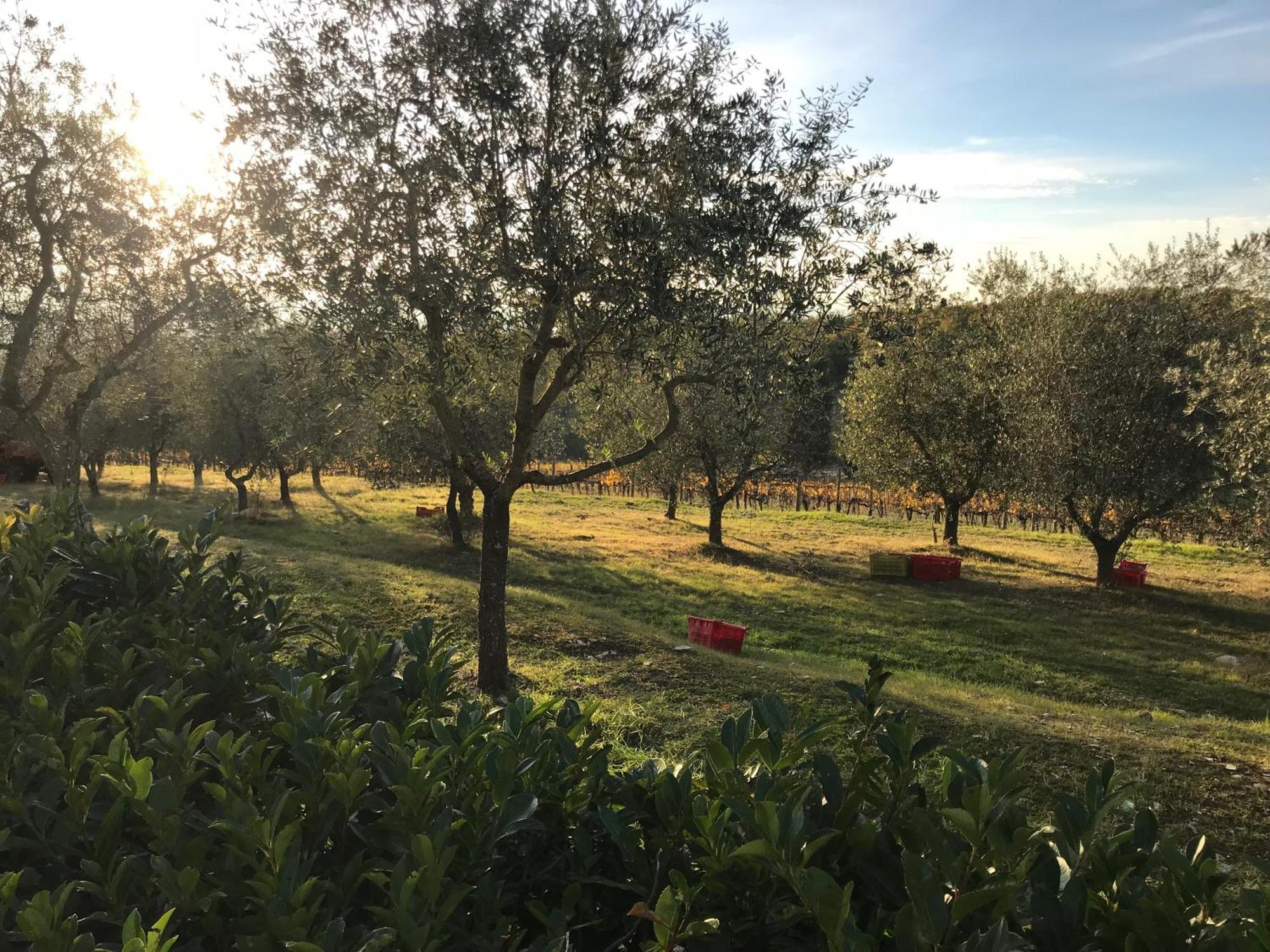 Il Villino Farmhouse Castellina in Chianti Luaran gambar